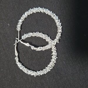 Sparkling Silver Hoop Earrings